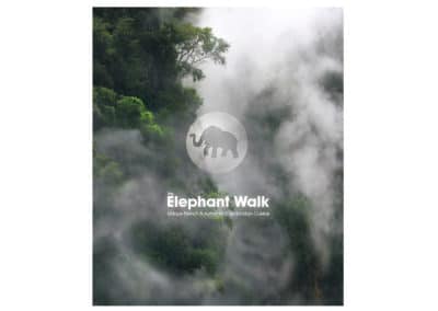 Elephant Walk Advertising Campaign